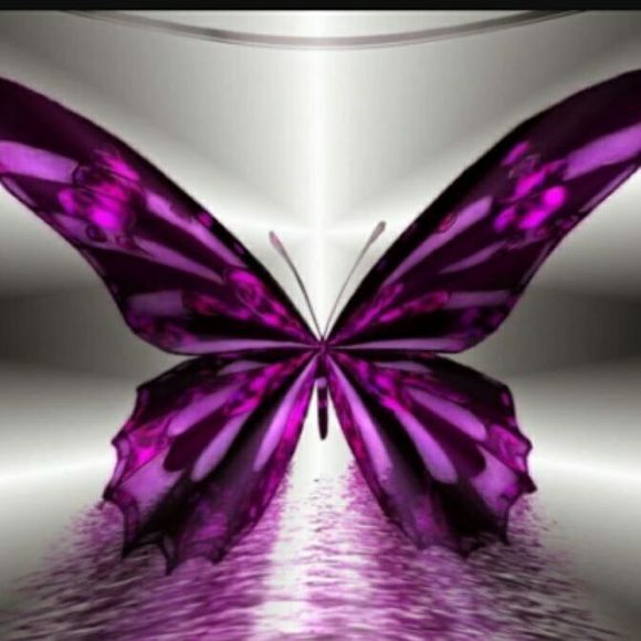 Meet your Posher, Ruby - Picture 1 of 1